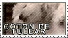 Coton de tulear stamp