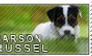 Parson russel terrier stamp
