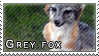 Grey fox stamp by Tollerka