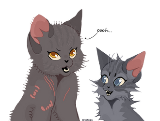 Yellowfang and Cinderpaw