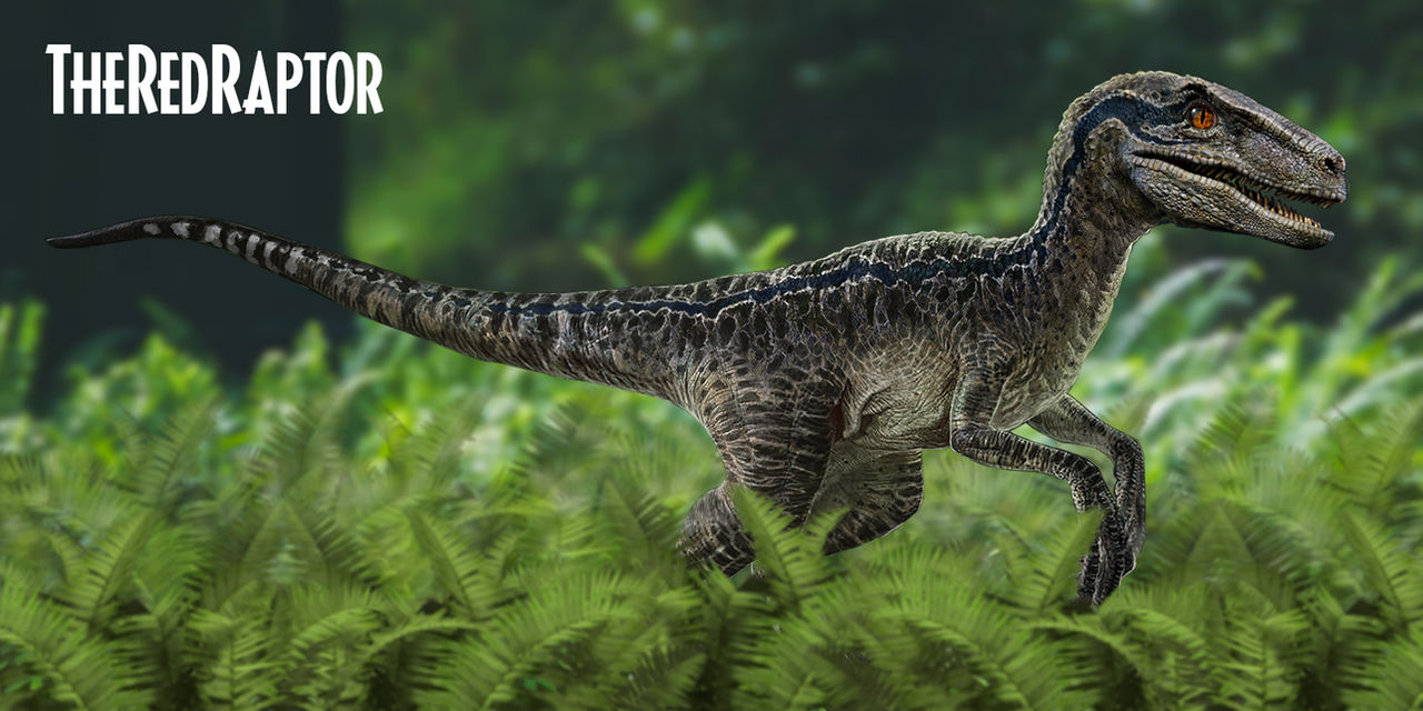 Indominus rex - Jurassic World by TheRedRaptor65 on DeviantArt