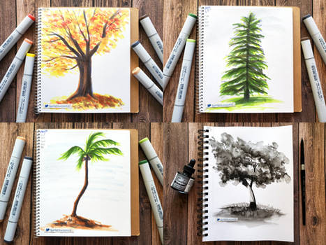 Tree Studies