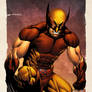 Wolverine SNIKT!