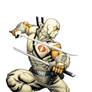 SnakeEyes StormShadow 13 cover