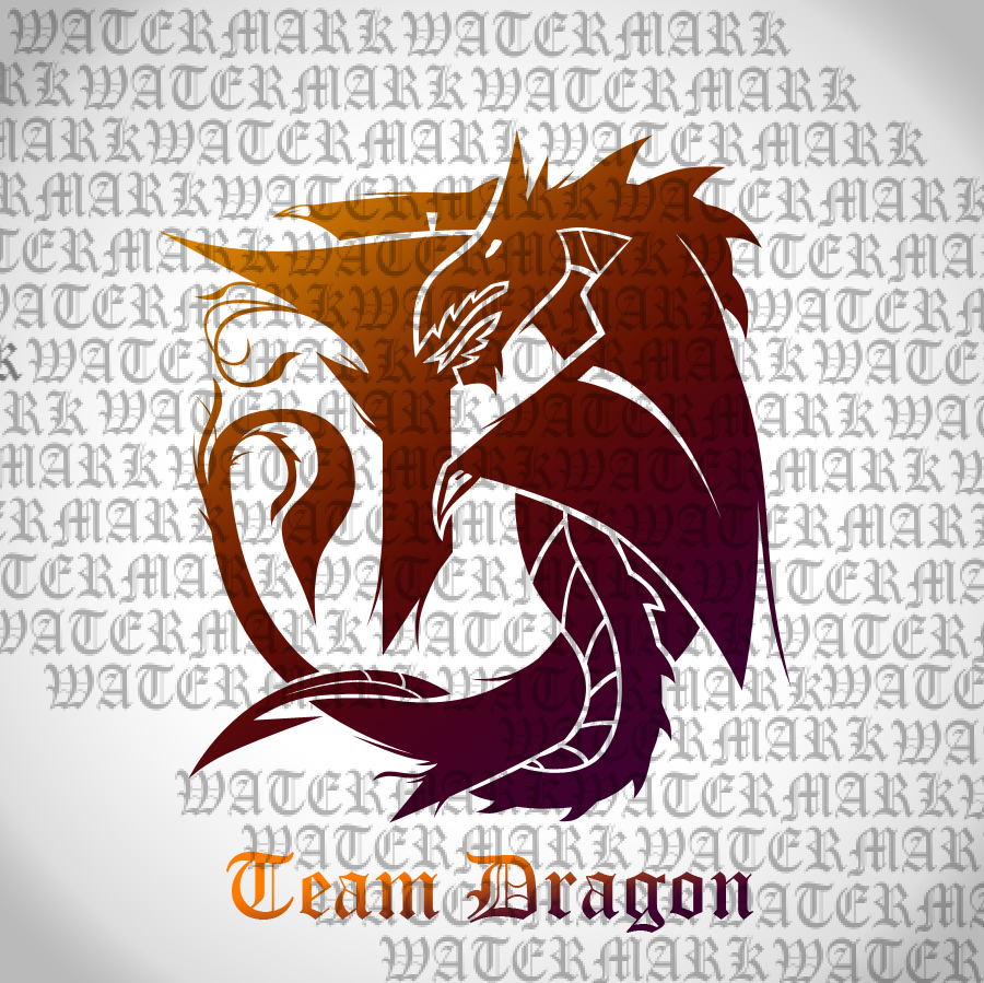 Team Dragon