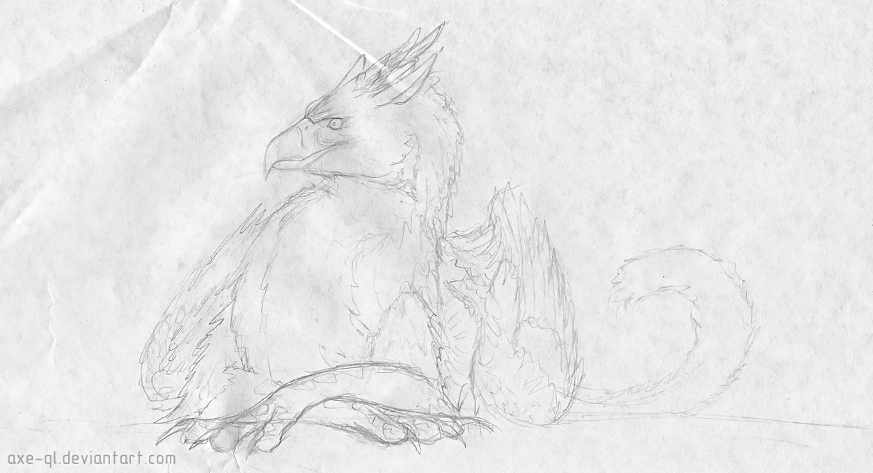 05.02.11 gryphon sketch