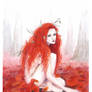 :Red morning Light: