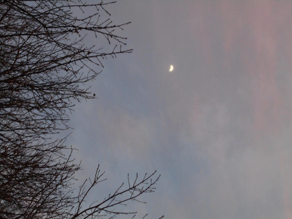 random sky by Sapphireyandere on DeviantArt
