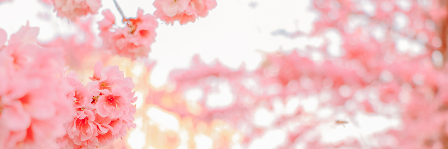 1500x500