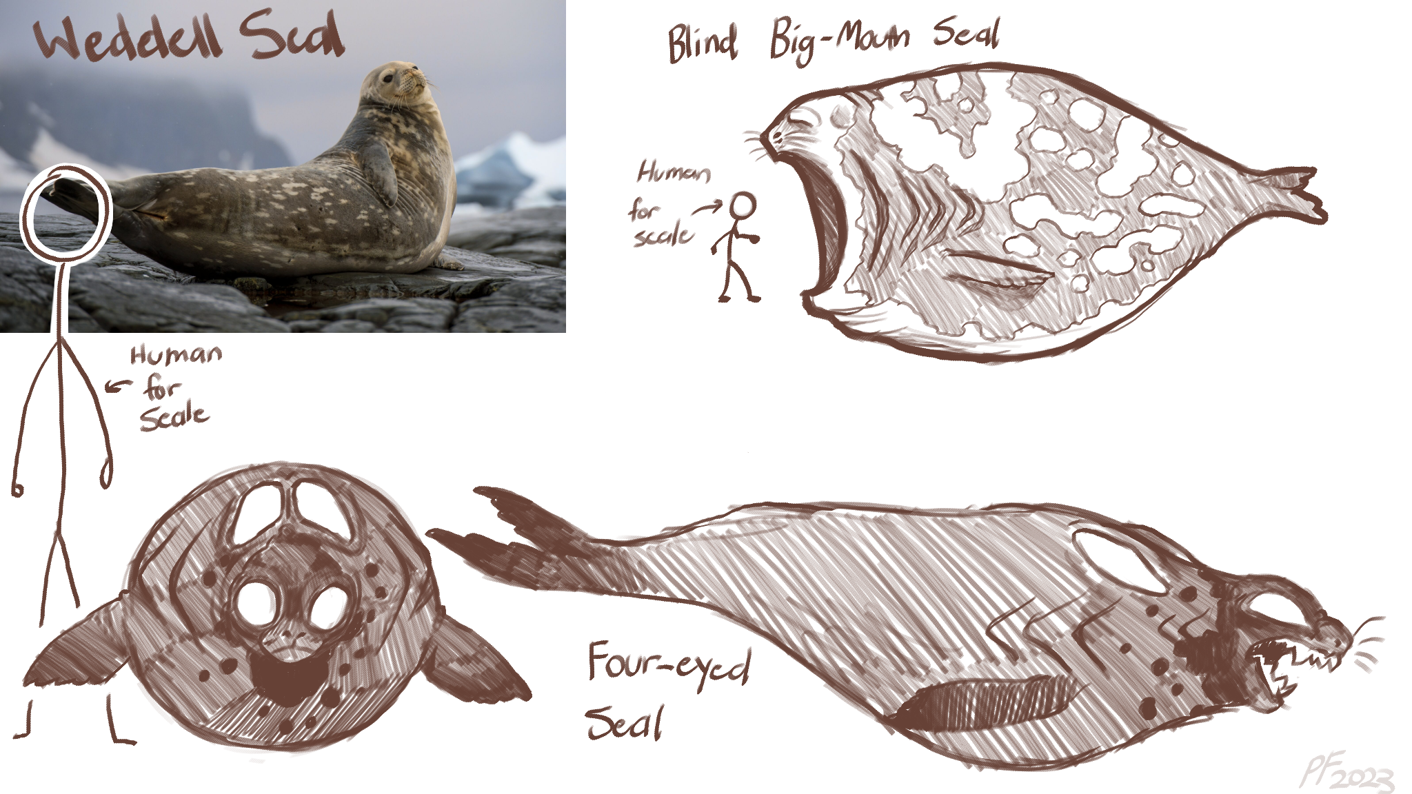 Blind Bigmouth Seal and Four-eyed Seal