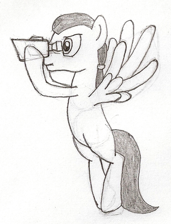 NATG II Day 26: A pony searching.