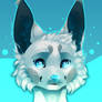 Fennec Head