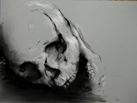 skull