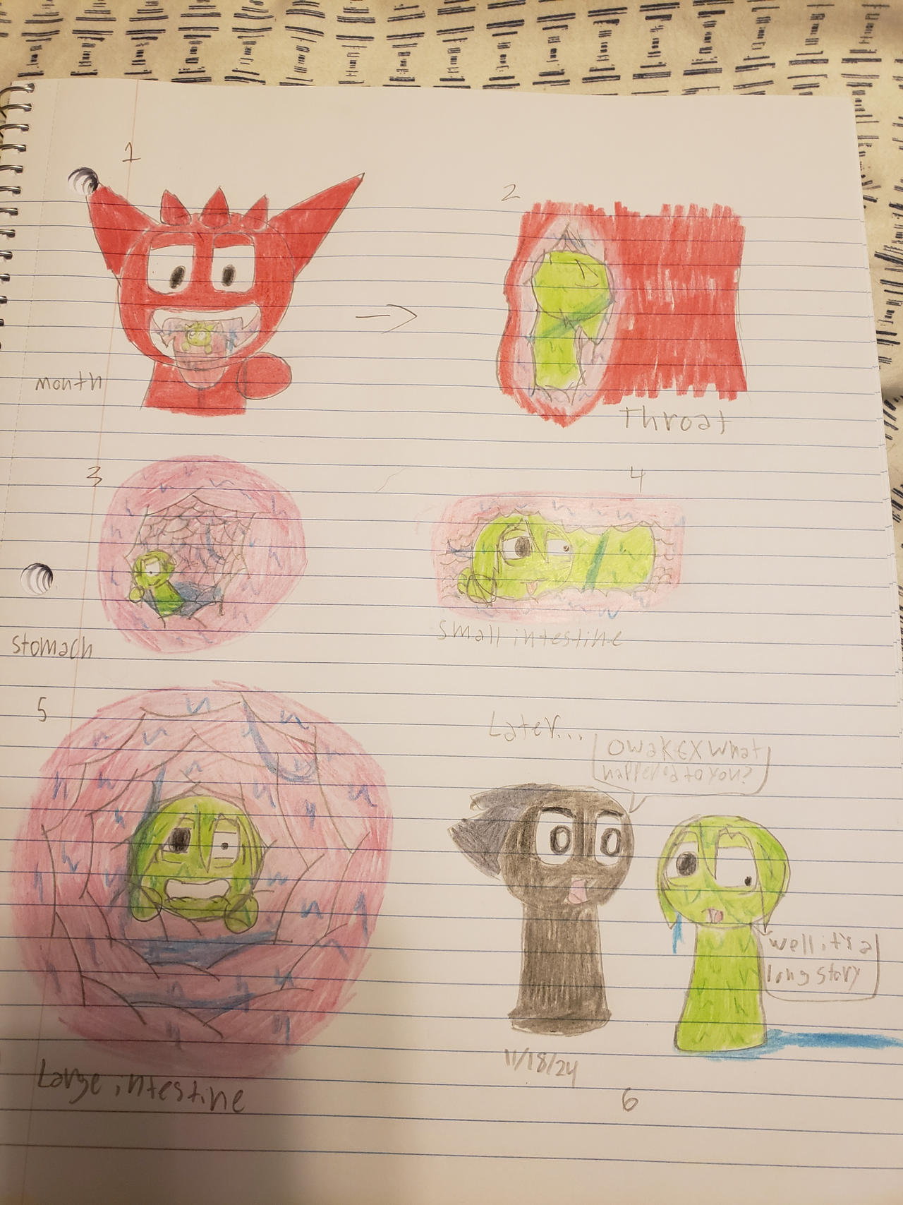 Anthromorphic Raddy A full tour of Raddy (Requested) by ViperGwyn2006 on DeviantArt