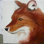 Red Dhole