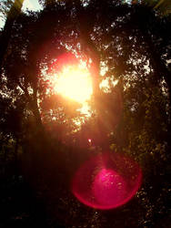 pinky baloons through the sun
