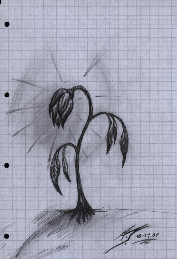 The withered Rose by DrakeHorror on DeviantArt