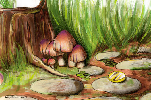 Mushrooms and a tree stump