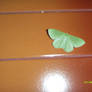 The Green Moth