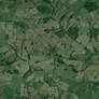 Seamless Farmland Texture (Free to use)
