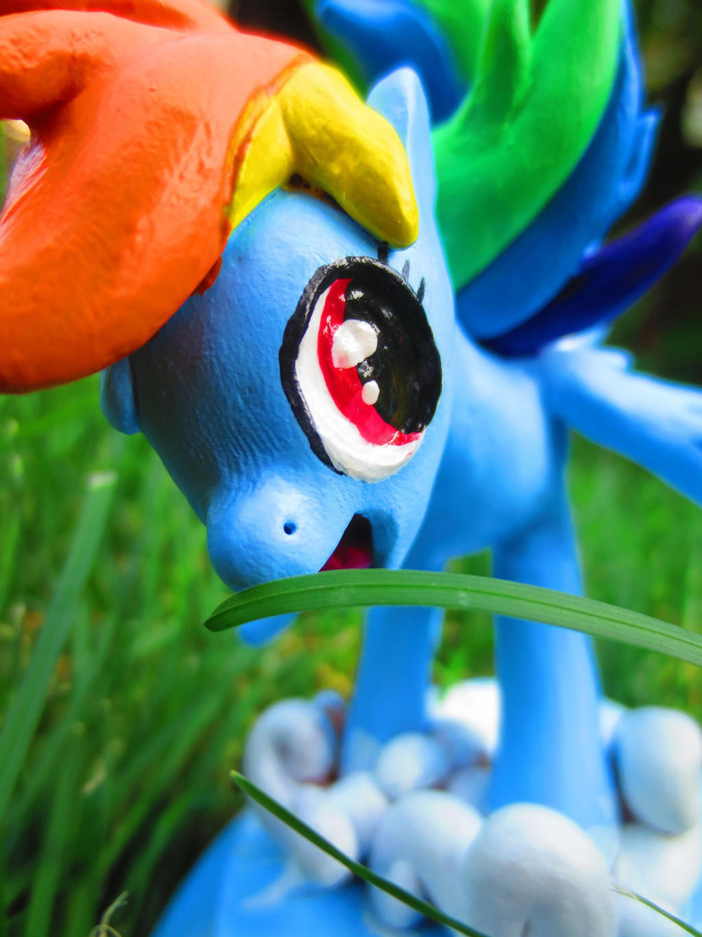 Dashie