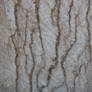 Striped Sandstone 1