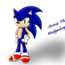 Sonic TH