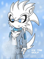 003-Ice the Wolf