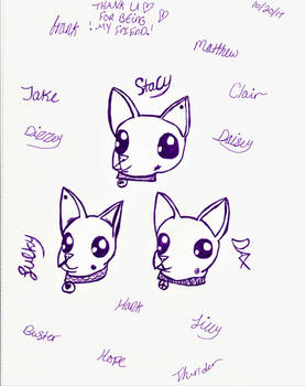 Puppies (drawn by my sister)