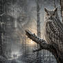 Spirit of the forest