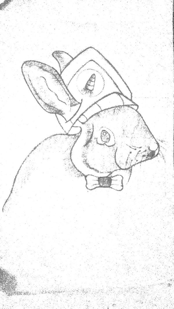 Captain Rabbit! by WillieIrvingIII on DeviantArt