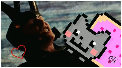 Loki vs. Nyan Cat #1 gif