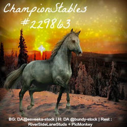 Championstables