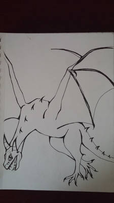 Dragon Outline