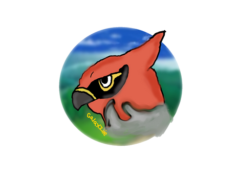 Talonflame headshot