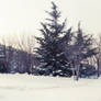 Winter-4