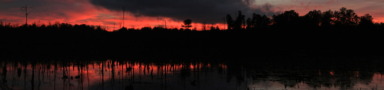 Sunset on the Swamp