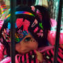 +Decora Dreams+