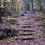 Autumn stairs