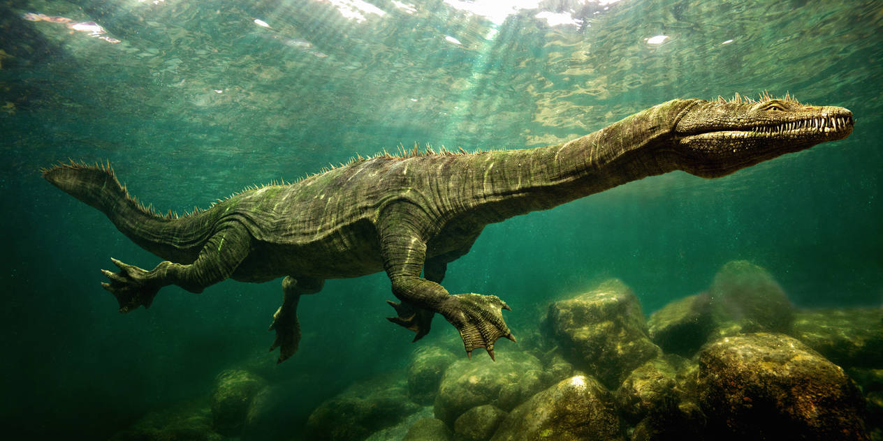 Nothosaurus by Johnson-Mortimer on DeviantArt