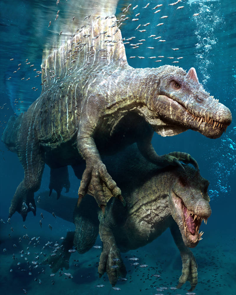 spinosaurus by JohnsonMortimer on DeviantArt