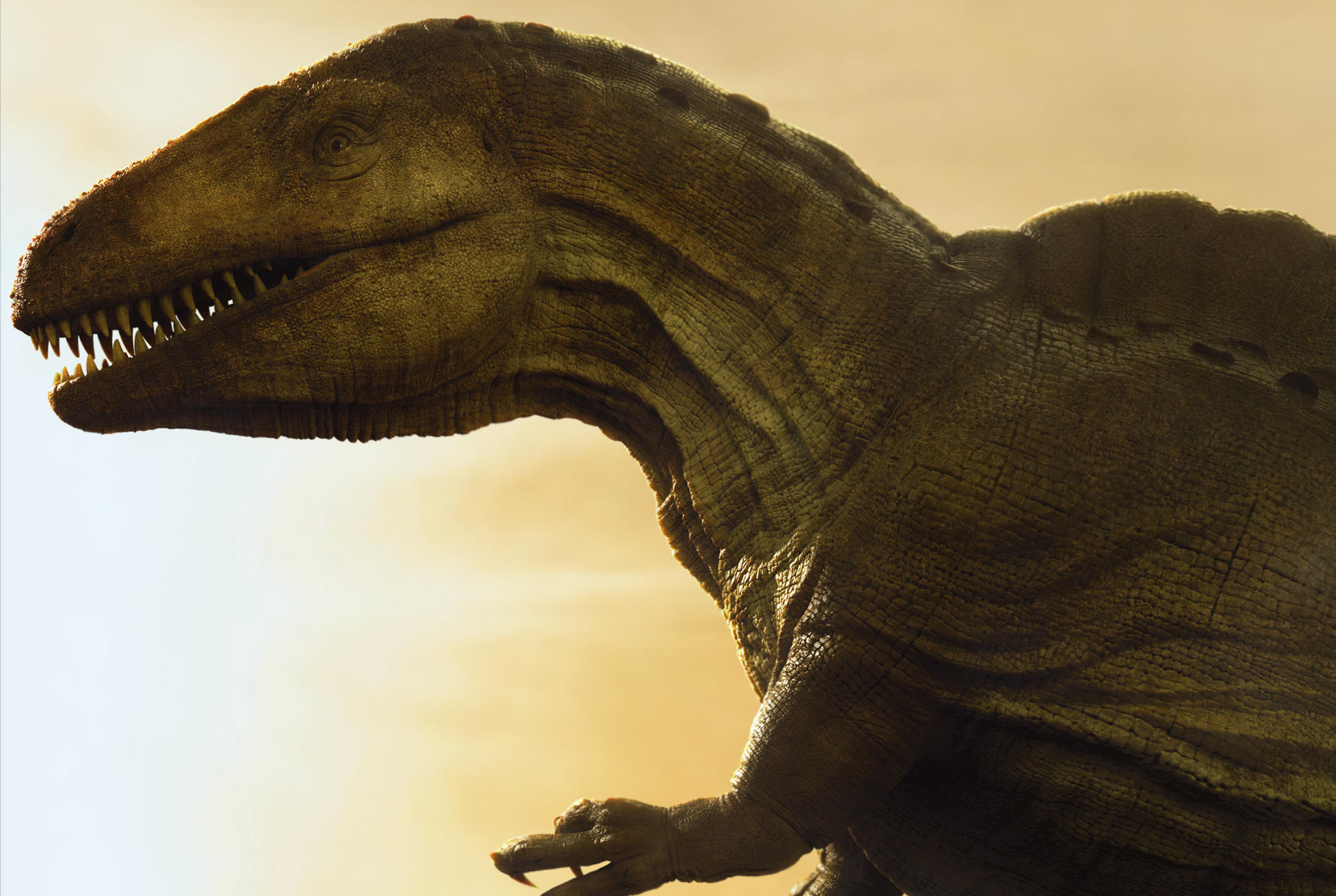 Acrocanthosaurus by Johnson-Mortimer on DeviantArt