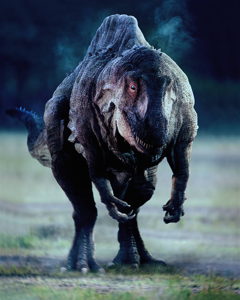 Acrocanthosaurus by Johnson-Mortimer on DeviantArt