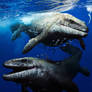 Prognathodon's