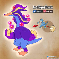 Indigoduck
