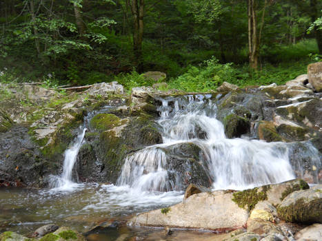 From the forest to the rocks