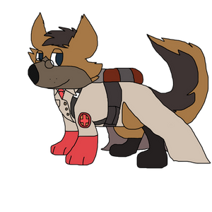 Medic Dog RED