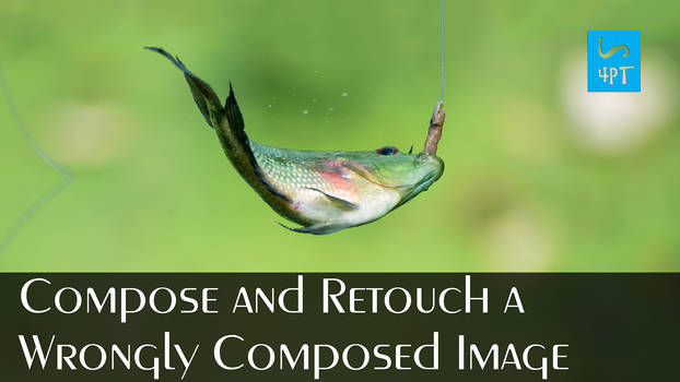 Composed Picture Explore the Best Composed Art | DeviantArt