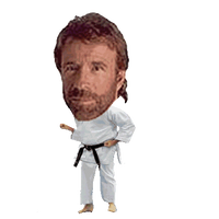 Chuck Norris