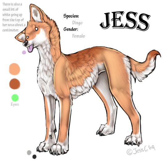 New Jess Ref